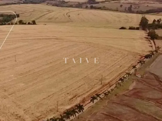 Terreno com 72100m², à venda, no bairro Centro em Londrina