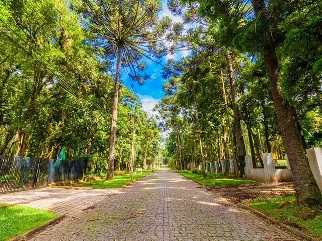 Terreno com 4m², à venda, no bairro Jardim Esmeralda em Piraquara