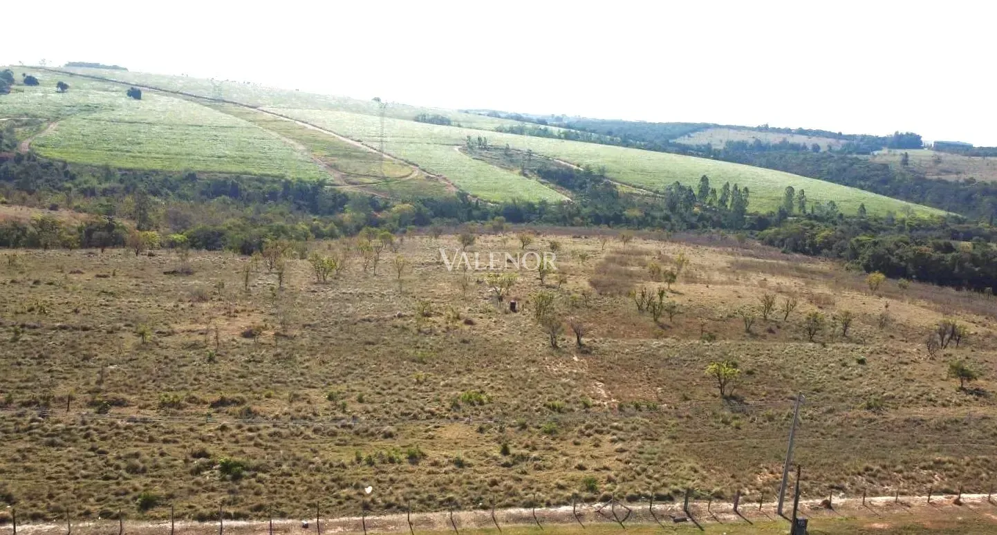 Terreno, 41 hectares - Foto 9