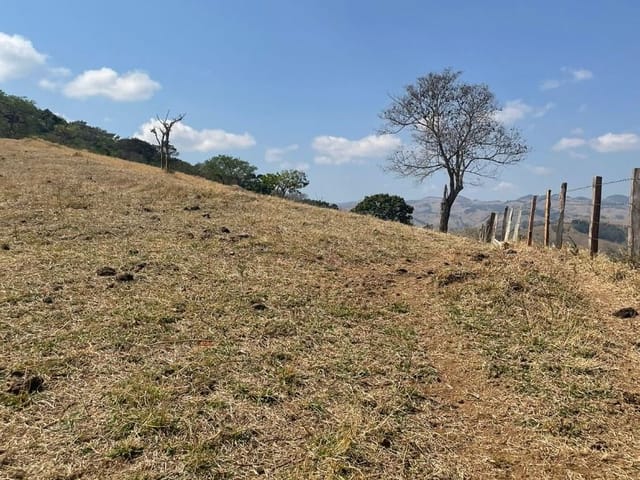 Terreno com 10000m², à venda, no bairro São Miguel em Cambuí