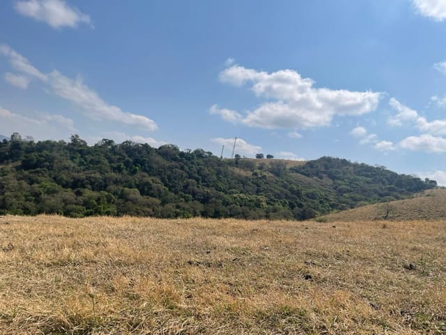 Terreno com 10000m², à venda, no bairro São Miguel em Cambuí