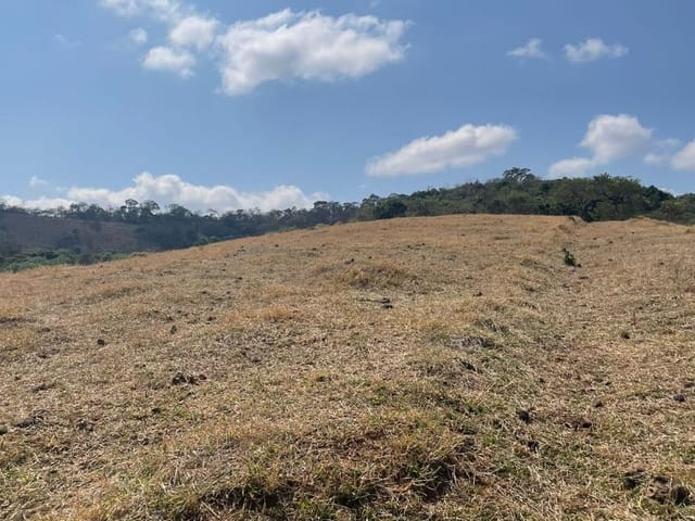 Terreno com 10000m², à venda, no bairro São Miguel em Cambuí