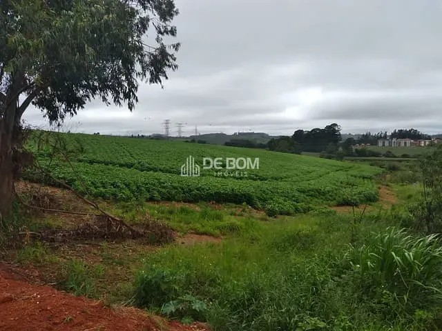Terreno com 20000m², à venda, no bairro Bianucci em Poços de Caldas