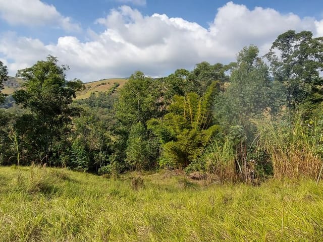 Foto do Terreno - Terreno à venda, 3400 m² por R$ 150.000 - Paiol - Guaratinguetá/SP | Imobiliária Domos
