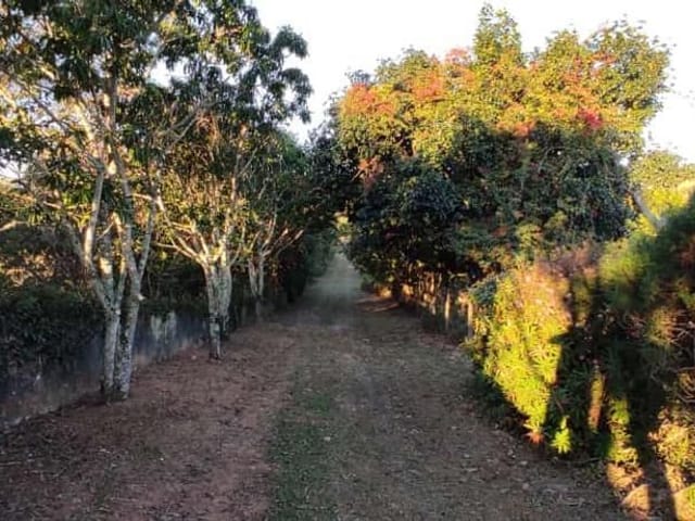 Foto do Terreno - Terreno à venda, 3400 m² por R$ 150.000 - Paiol - Guaratinguetá/SP | Imobiliária Domos