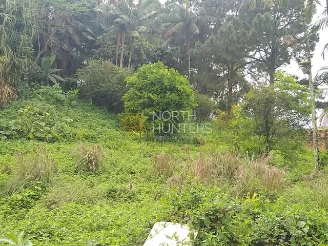 Terreno com 1963m², à venda, no bairro Saguaçu em Joinville