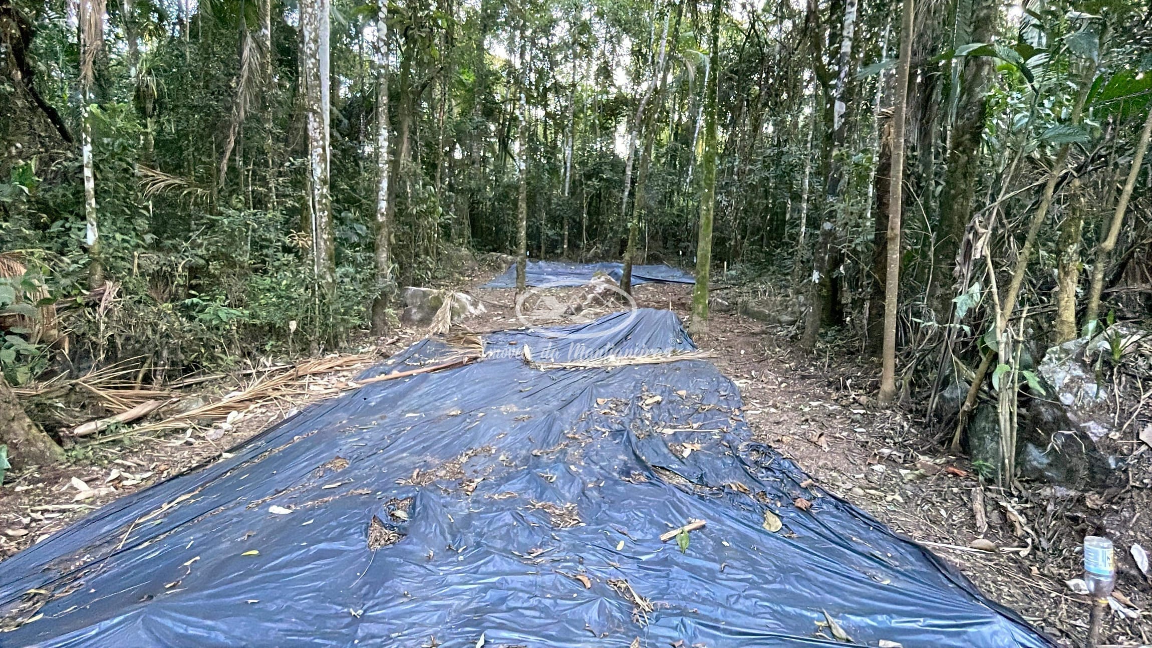 Terreno, 1800 m² - Foto 2