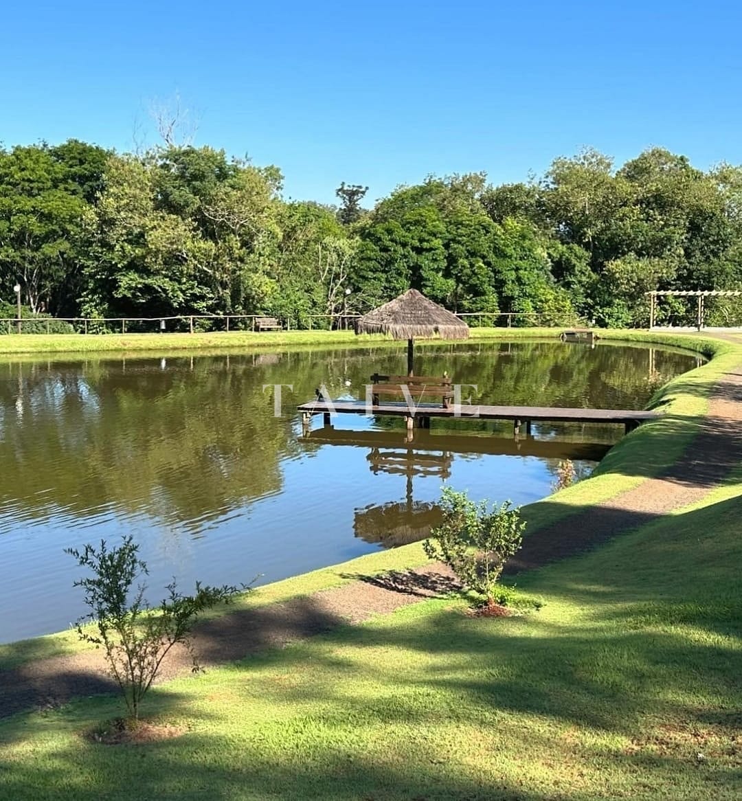 Terreno, 317 m² - Foto 6