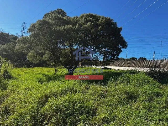 Terreno com 510m², à venda, no bairro Roseira de São Sebastião em São José dos Pinhais