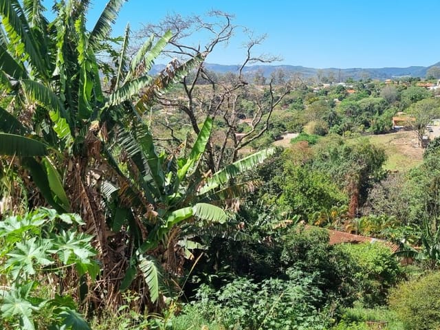 Terreno com 1100m², à venda, no bairro Portal da Aliança em São João da Boa Vista