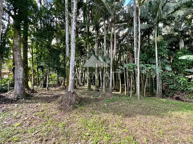 Terreno com 450m², à venda, no bairro Itoupava Seca em Blumenau