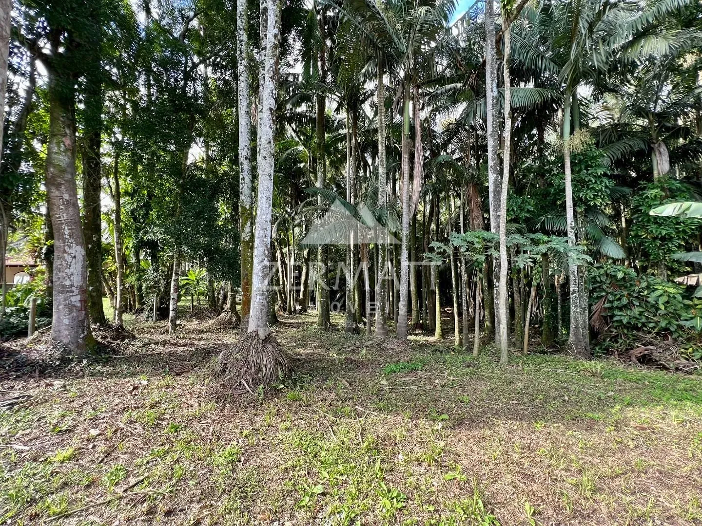 Ótimo Terreno à venda, 450 m por R$ 750.000 - Itoupava Seca - Blumenau/SC — foto 5