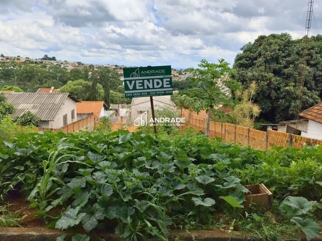Terreno com 360m², à venda, no bairro Jardim Eldorado em Apucarana
