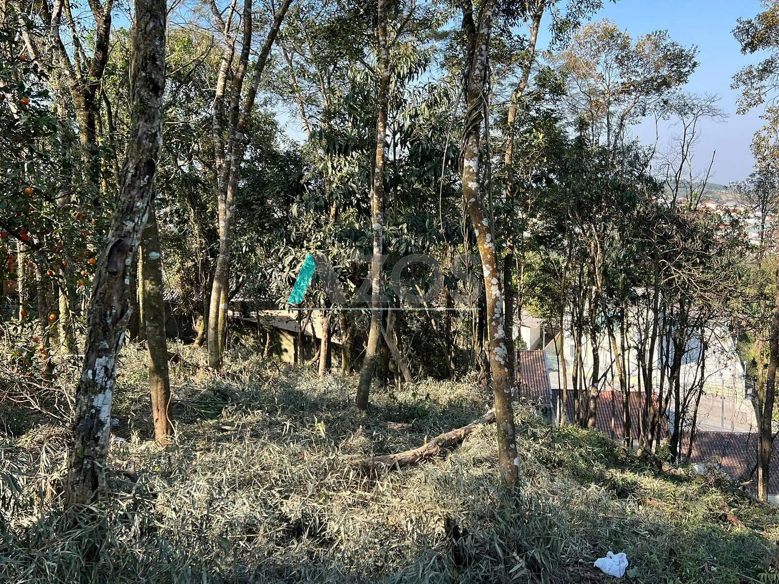 Terreno, 1000 m² - Foto 13