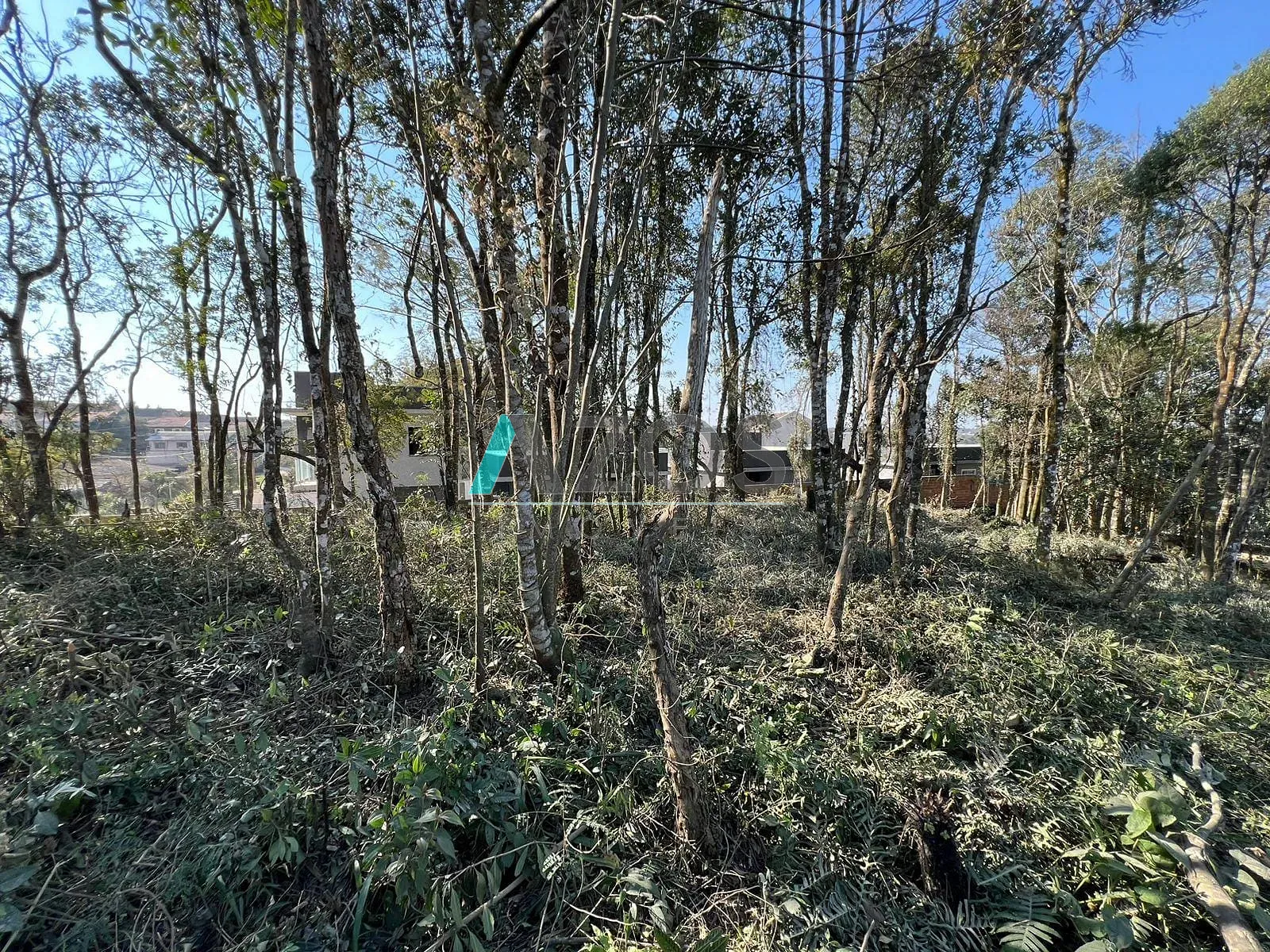 Terreno, 1000 m² - Foto 14