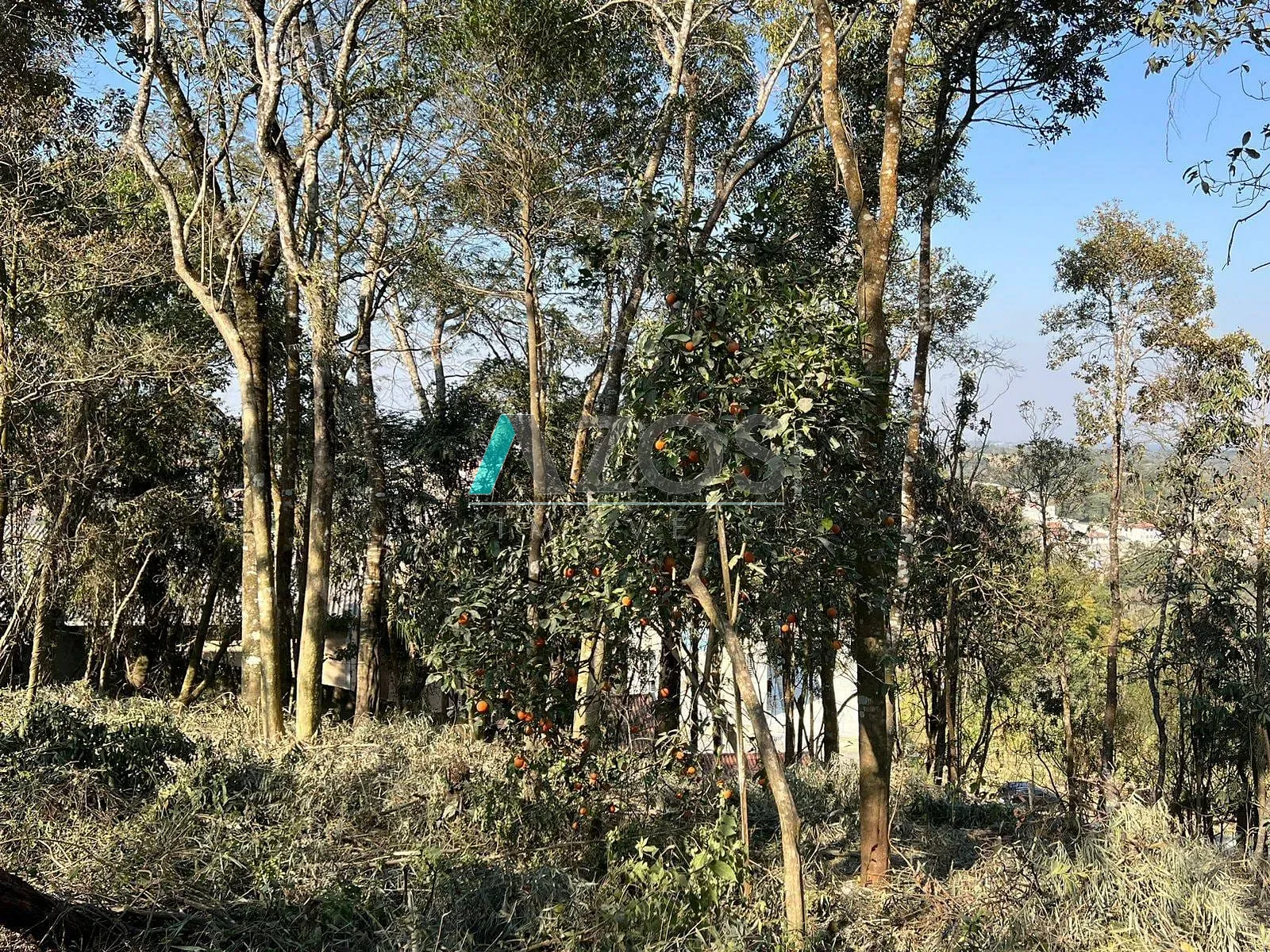 Terreno, 1000 m² - Foto 16