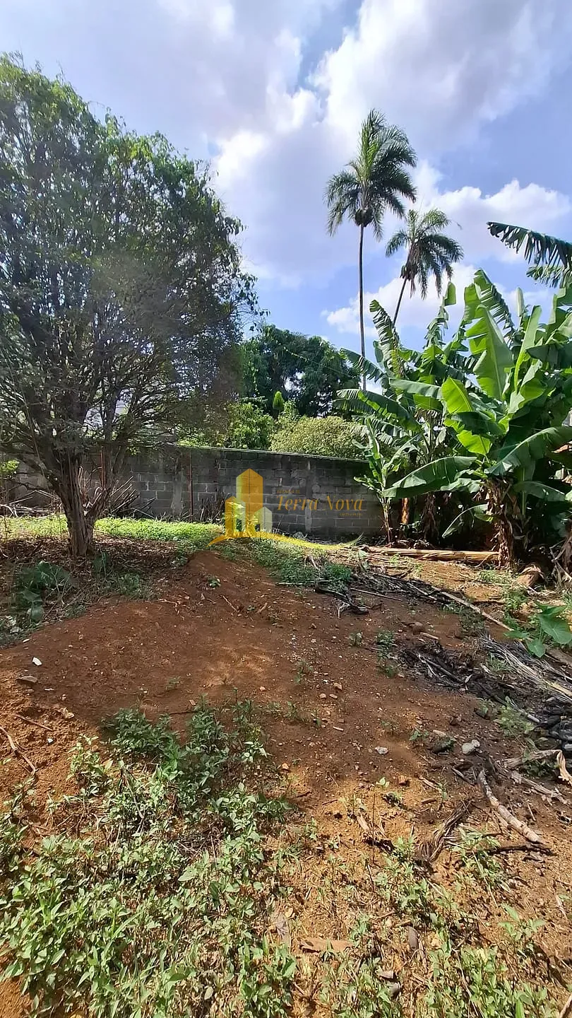Terreno, 500 m² - Foto 3
