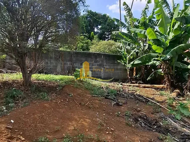 Terreno com 500m², à venda, no bairro Parada XV de Novembro em São Paulo