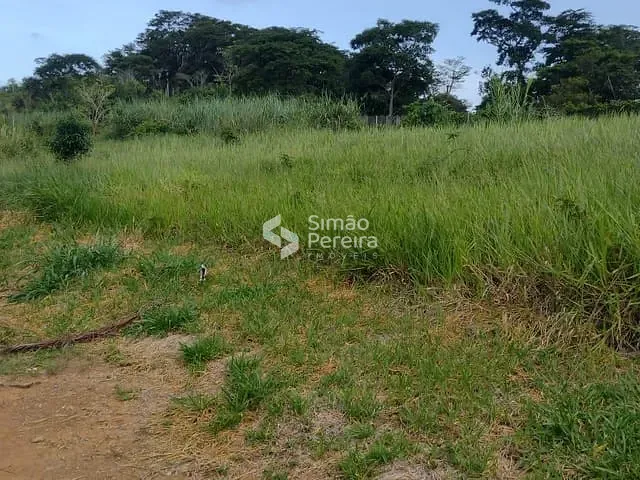 Terreno com 3300m², à venda, no bairro Balança em Simão Pereira