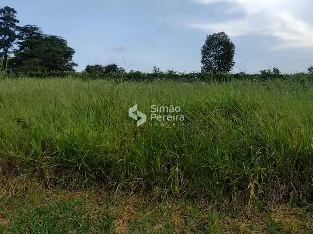 Terreno com 3300m², à venda, no bairro Balança em Simão Pereira