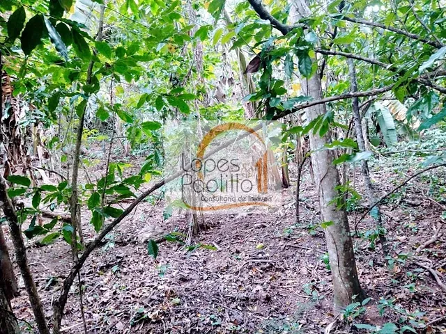 Terreno com 1500m², à venda, no bairro Chacara Piratininga em Atibaia