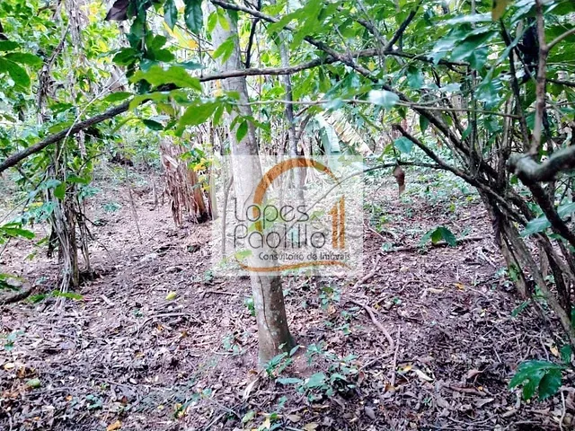 Terreno com 1500m², à venda, no bairro Chacara Piratininga em Atibaia