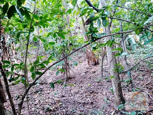 Terreno com 1500m², à venda, no bairro Chacara Piratininga em Atibaia