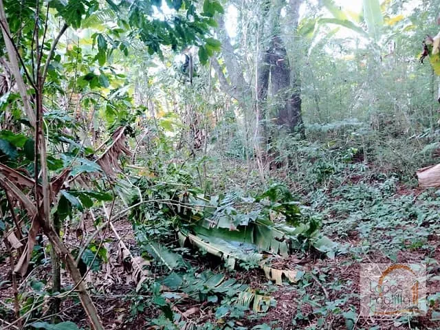 Terreno com 1500m², à venda, no bairro Chacara Piratininga em Atibaia