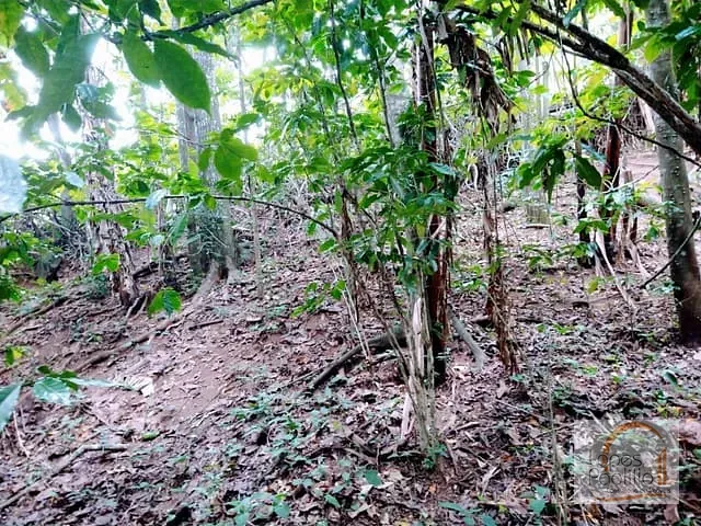 Terreno com 1500m², à venda, no bairro Chacara Piratininga em Atibaia