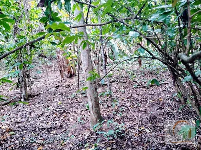 Terreno com 1500m², à venda, no bairro Chacara Piratininga em Atibaia