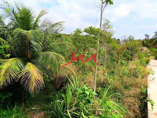 Terreno com 1060m², à venda, no bairro Barracão em São Gonçalo