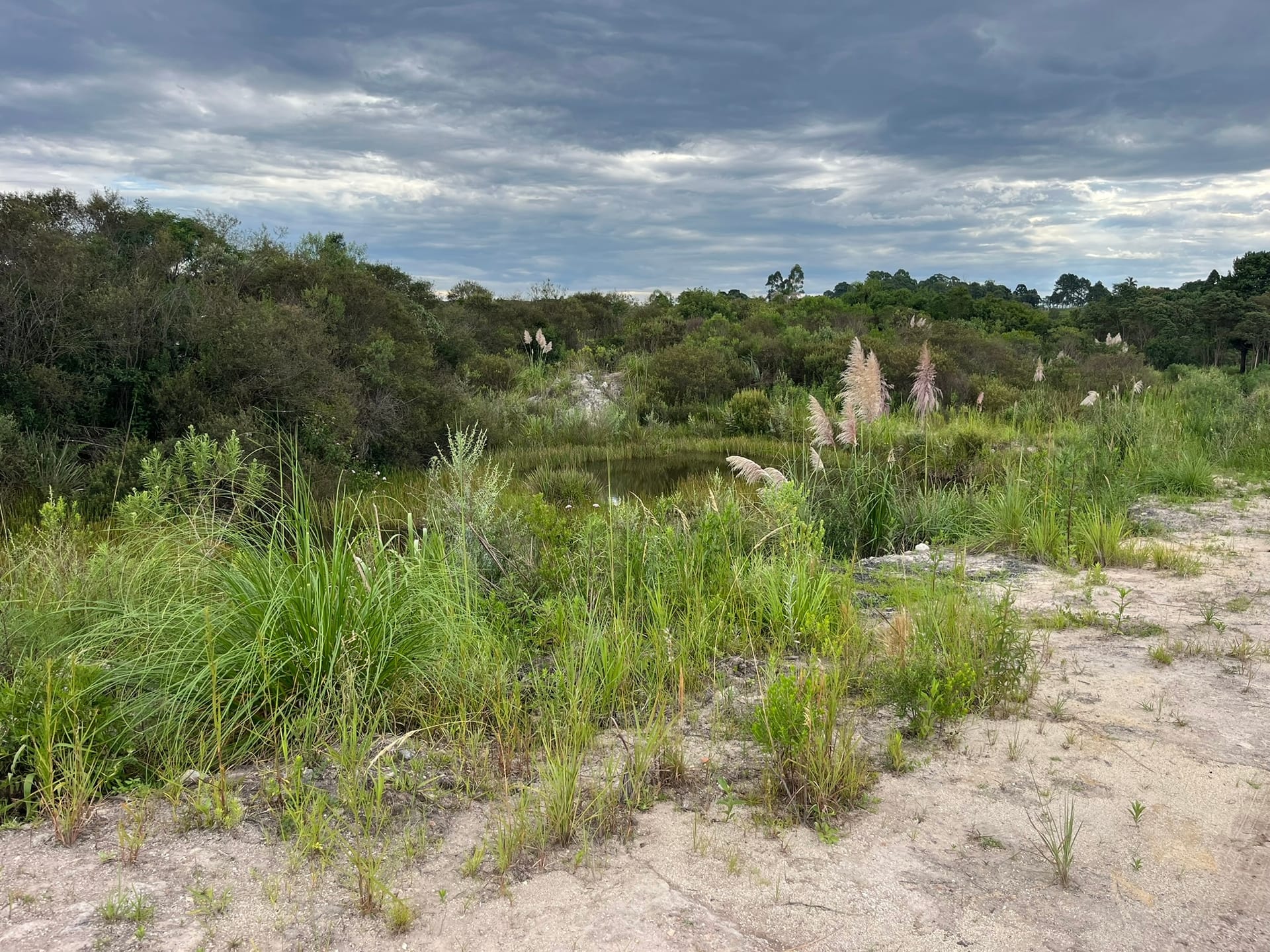 Terreno, 2 hectares - Foto 2