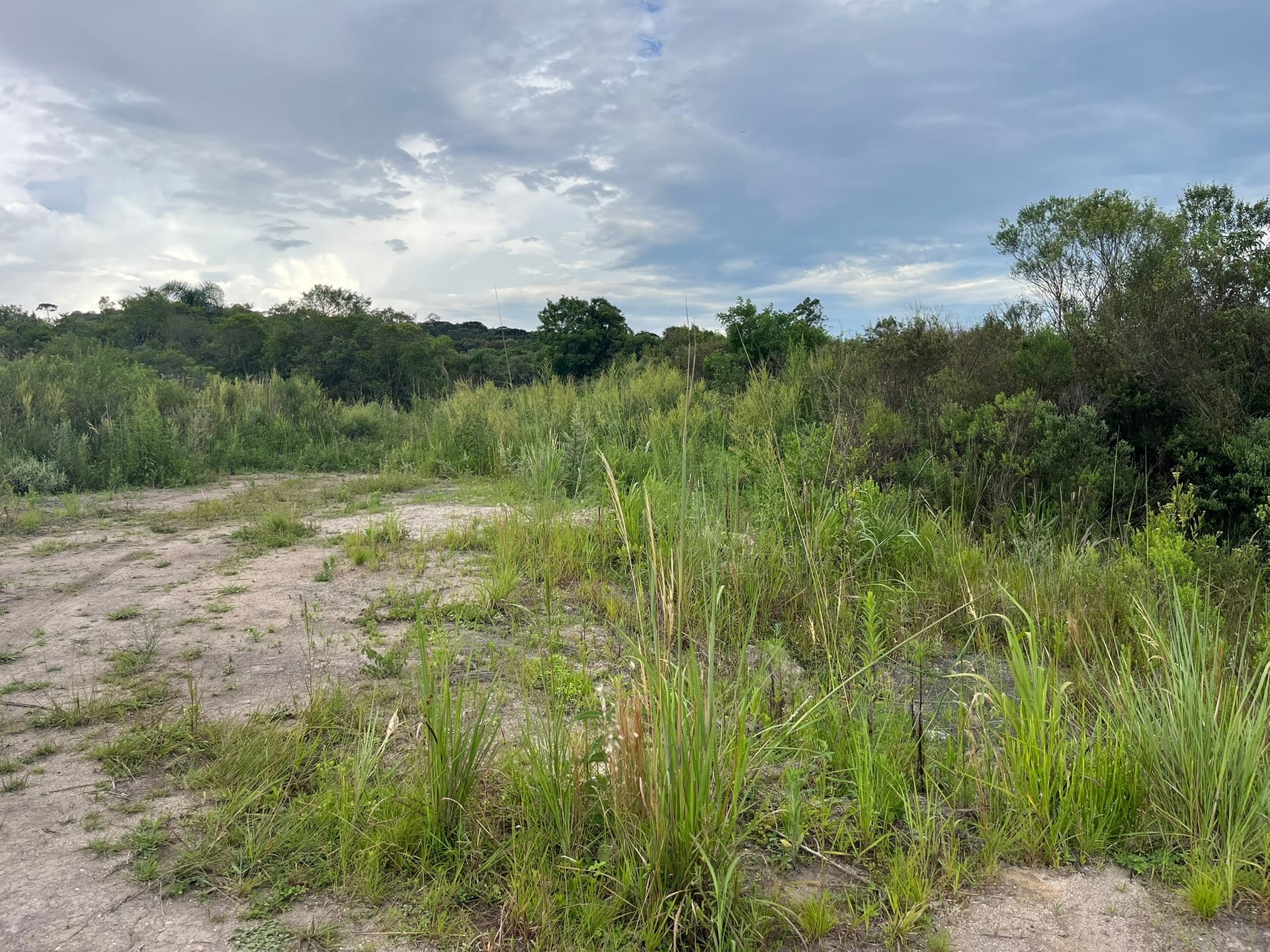 Terreno, 2 hectares - Foto 3