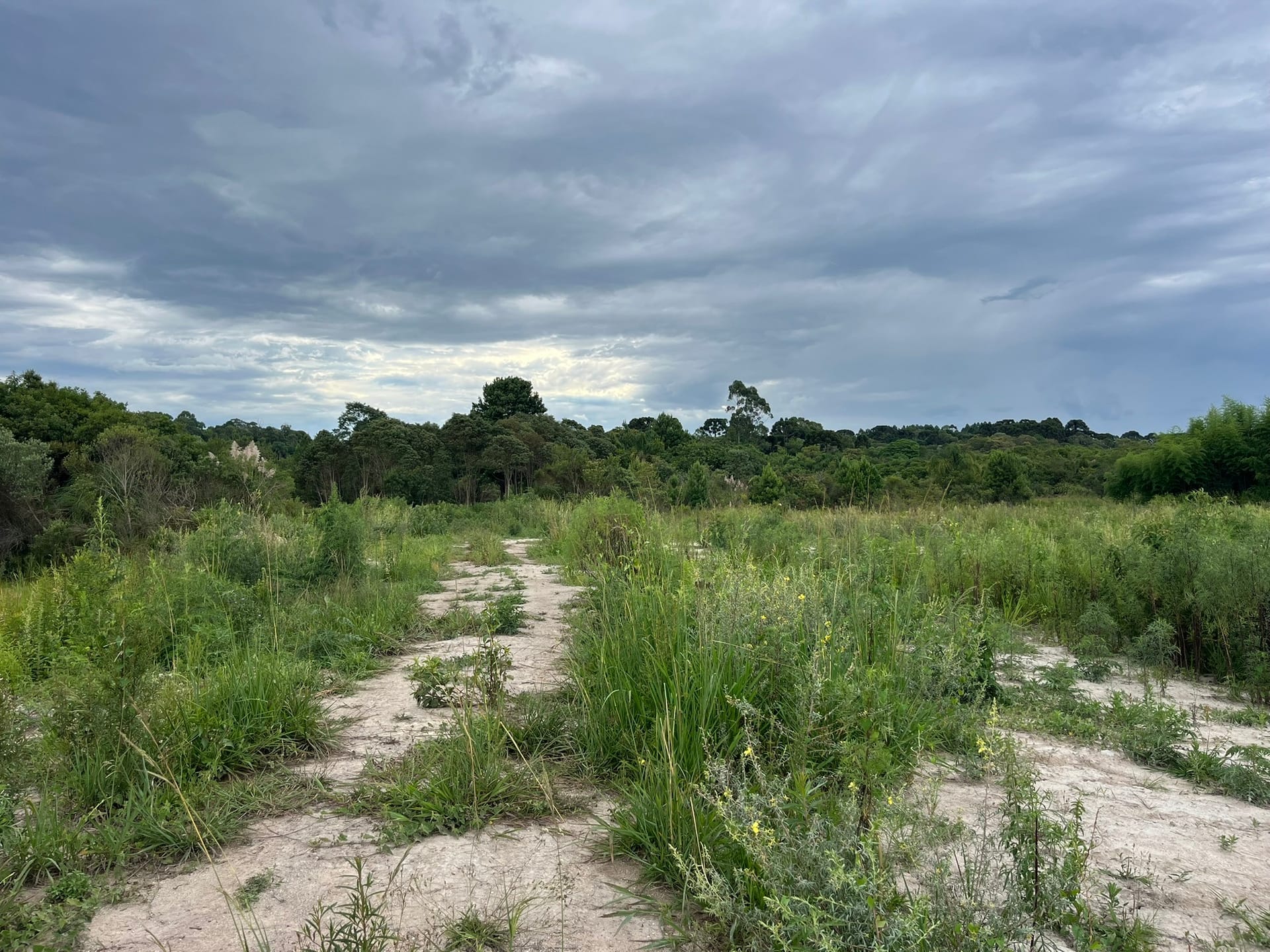 Terreno, 2 hectares - Foto 6