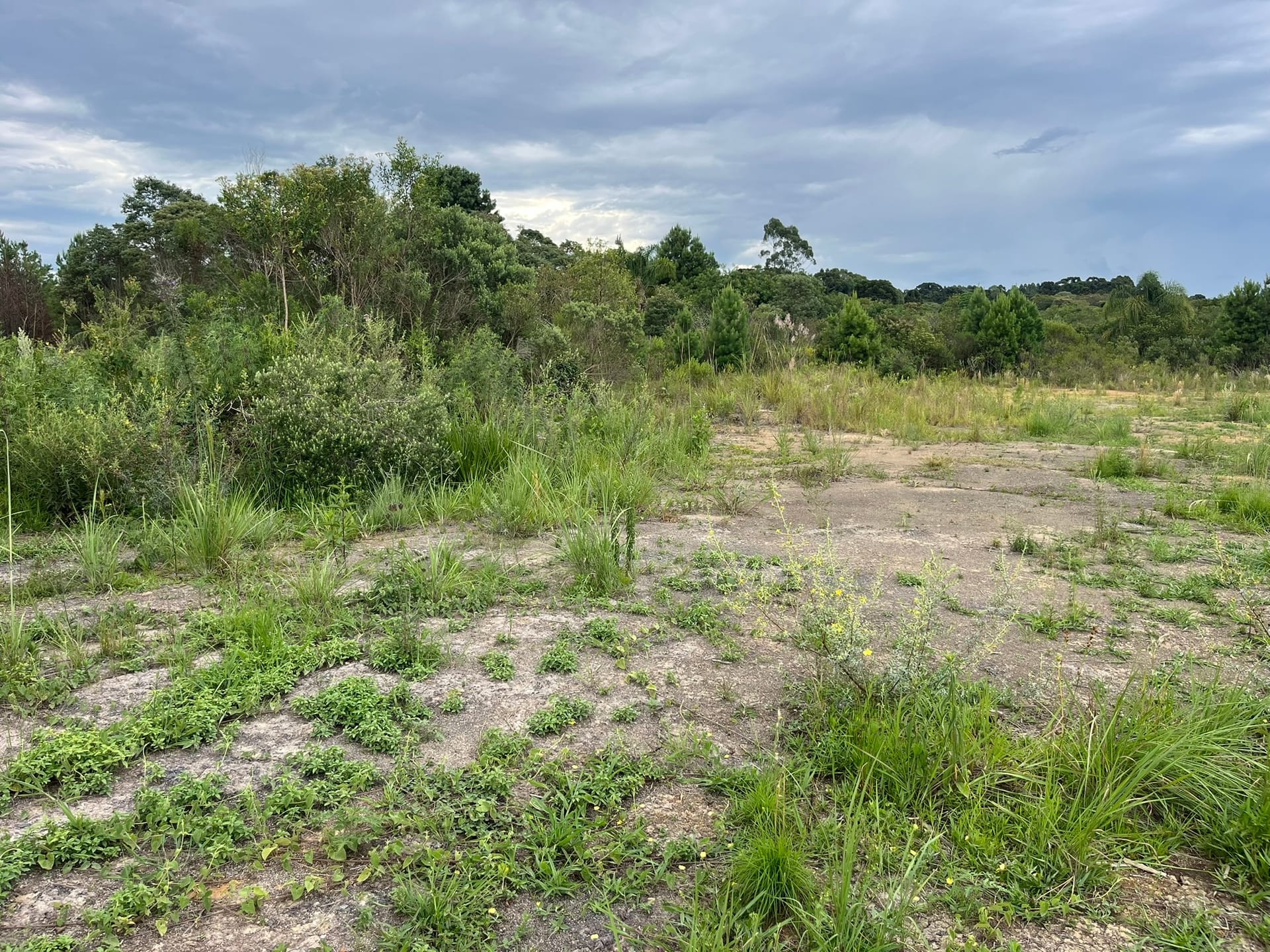 Terreno, 2 hectares - Foto 8