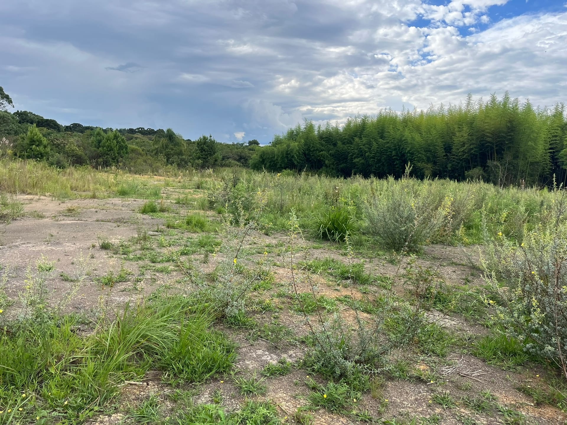 Terreno, 2 hectares - Foto 9