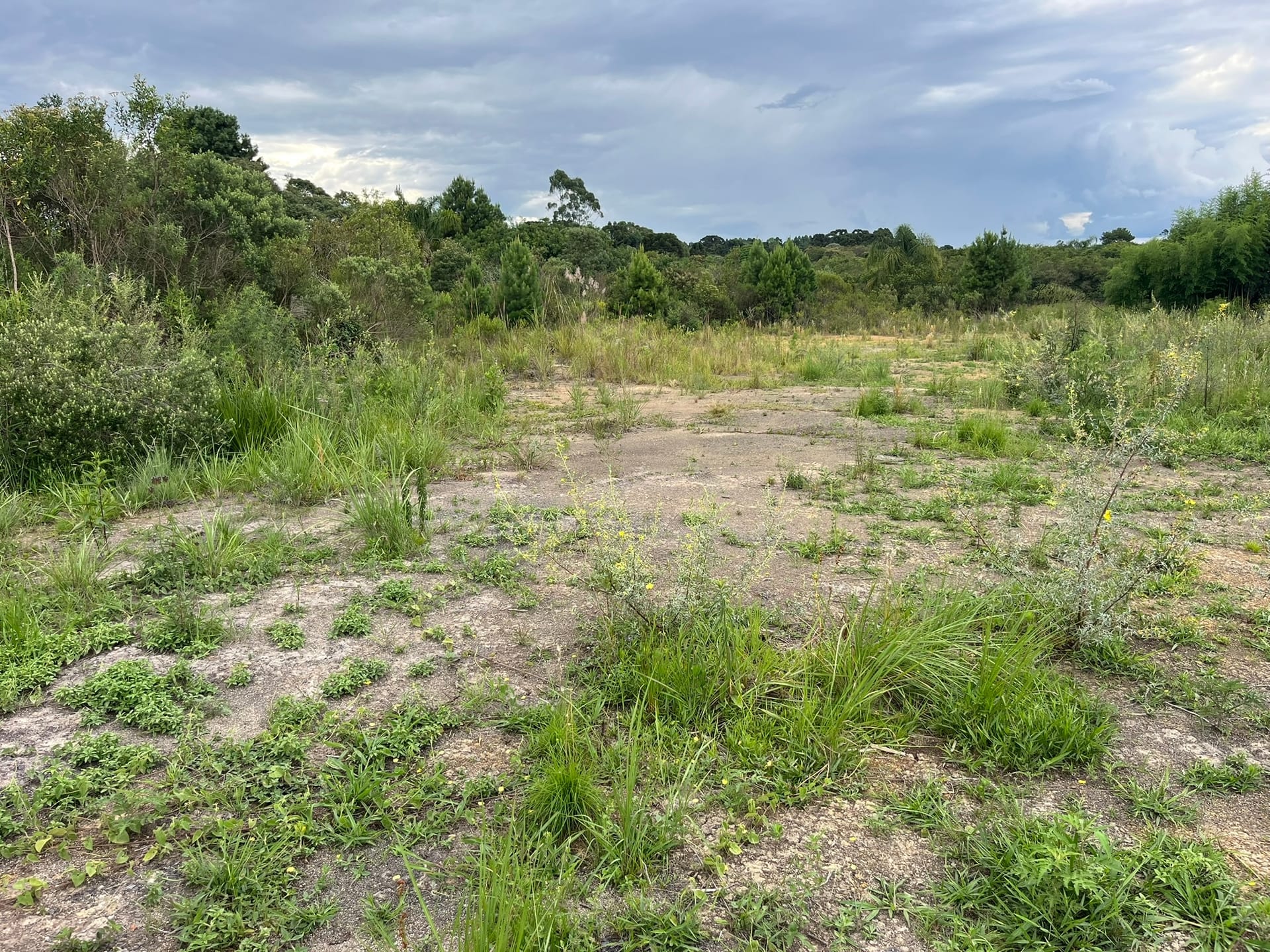 Terreno, 2 hectares - Foto 14