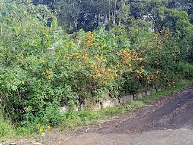 Terreno com 3m², à venda, no bairro Ponte Seca em Ribeirão Pires