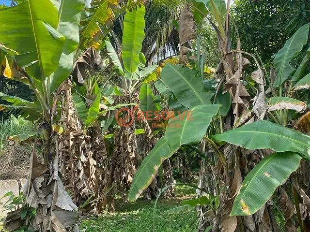 Terreno com 1000m², à venda, no bairro Parque Agrinco em Guararema