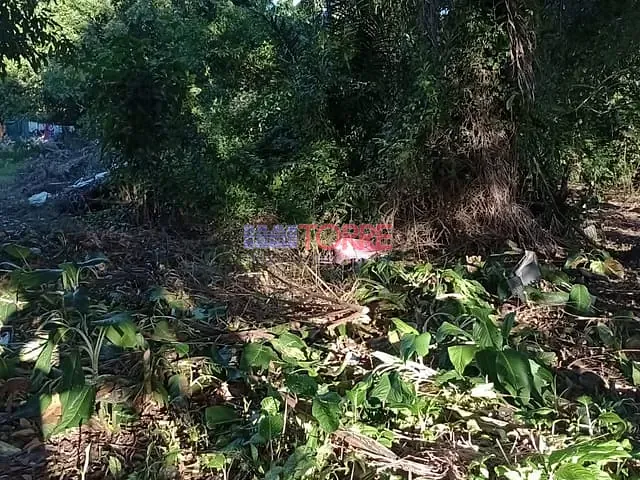 Terreno com 604m², à venda, no bairro Aritaguá em Ilhéus