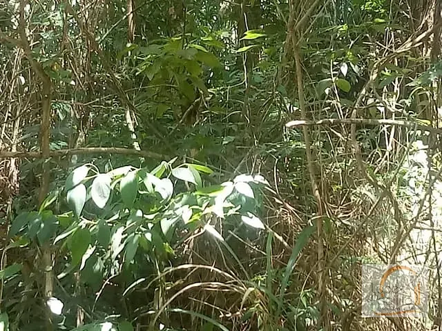 Terreno com 752m², à venda, no bairro Marmeleiro em Atibaia