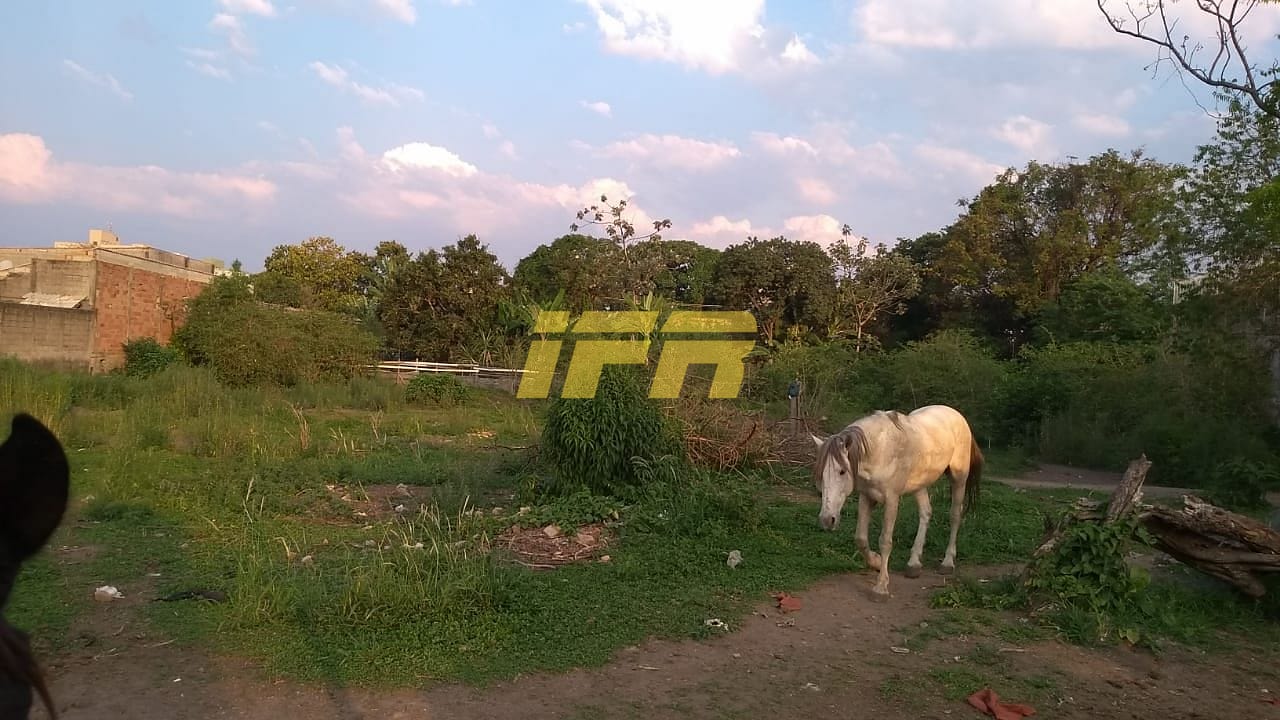 Terreno, 2773 m² - Foto 8