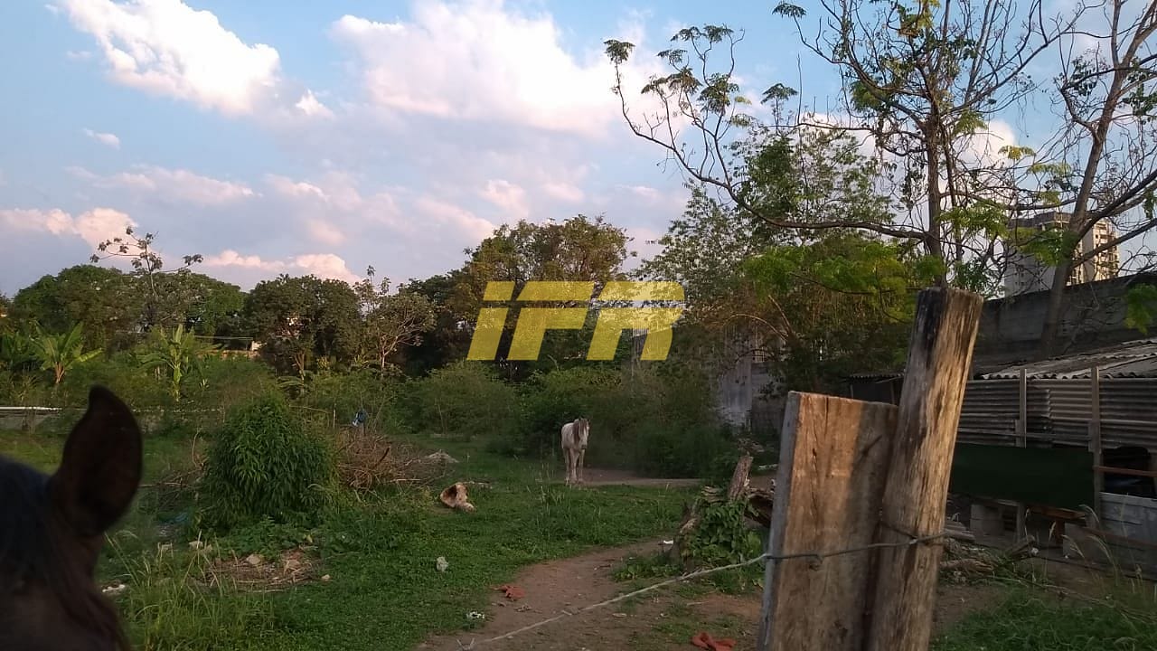 Terreno, 2773 m² - Foto 7