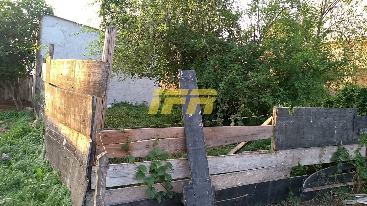 Terreno, 2773 m² - Foto 10