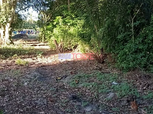 Terreno com 590m², à venda, no bairro Aritaguá em Ilhéus