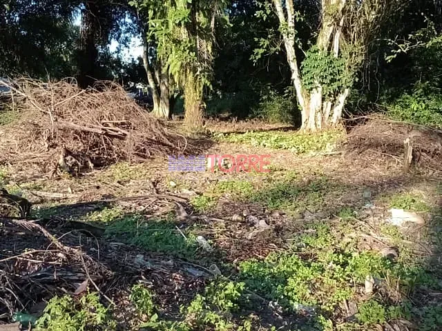 Terreno com 590m², à venda, no bairro Aritaguá em Ilhéus