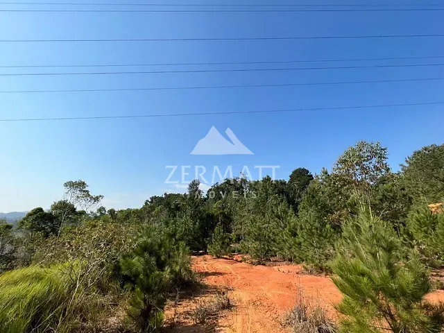 Terreno com 8000m², à venda, no bairro Belchior Baixo em Gaspar