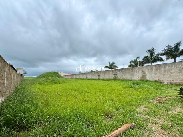 Terreno com 1000m², à venda, no bairro Colonia Esperança em Arapongas
