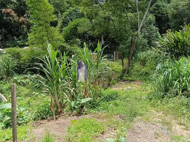 Terreno com 975m², à venda, no bairro Vila Progresso em Niterói