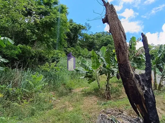 Terreno com 975m², à venda, no bairro Vila Progresso em Niterói